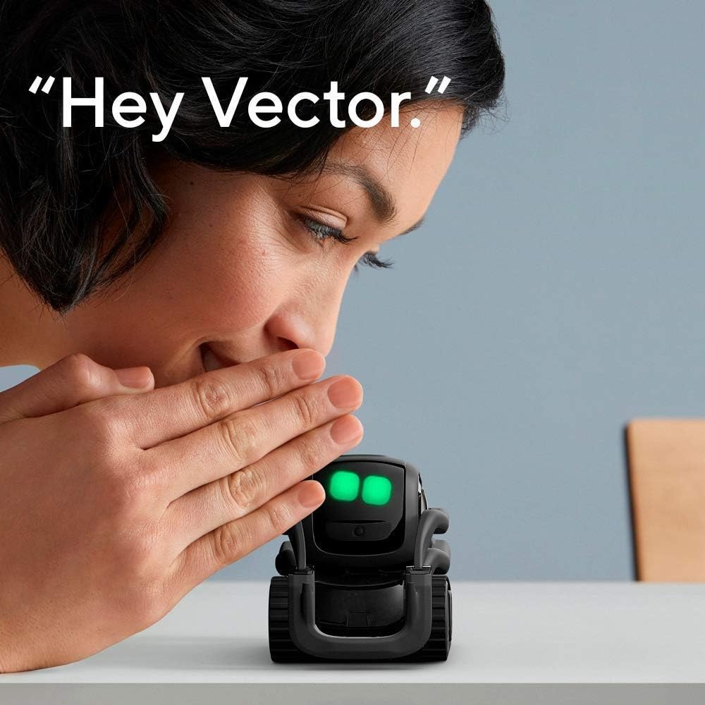 หุ่นยนต์เพื่อนคู่ใจ AI ChatGPT - Remote Control Toys บทวิจารณ์และราคา